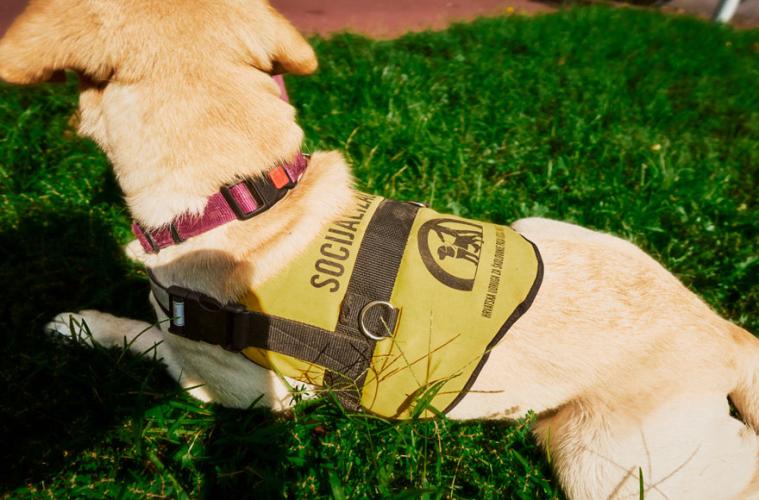 Croatian Guide Dog and Mobility Association