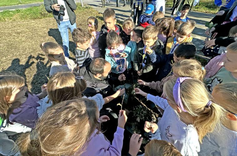 Volunteering reforestation action in Zaprešić