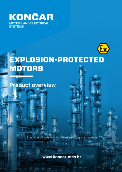 Explosion protected motors