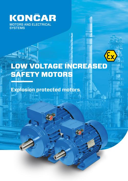 Explosion protected motors